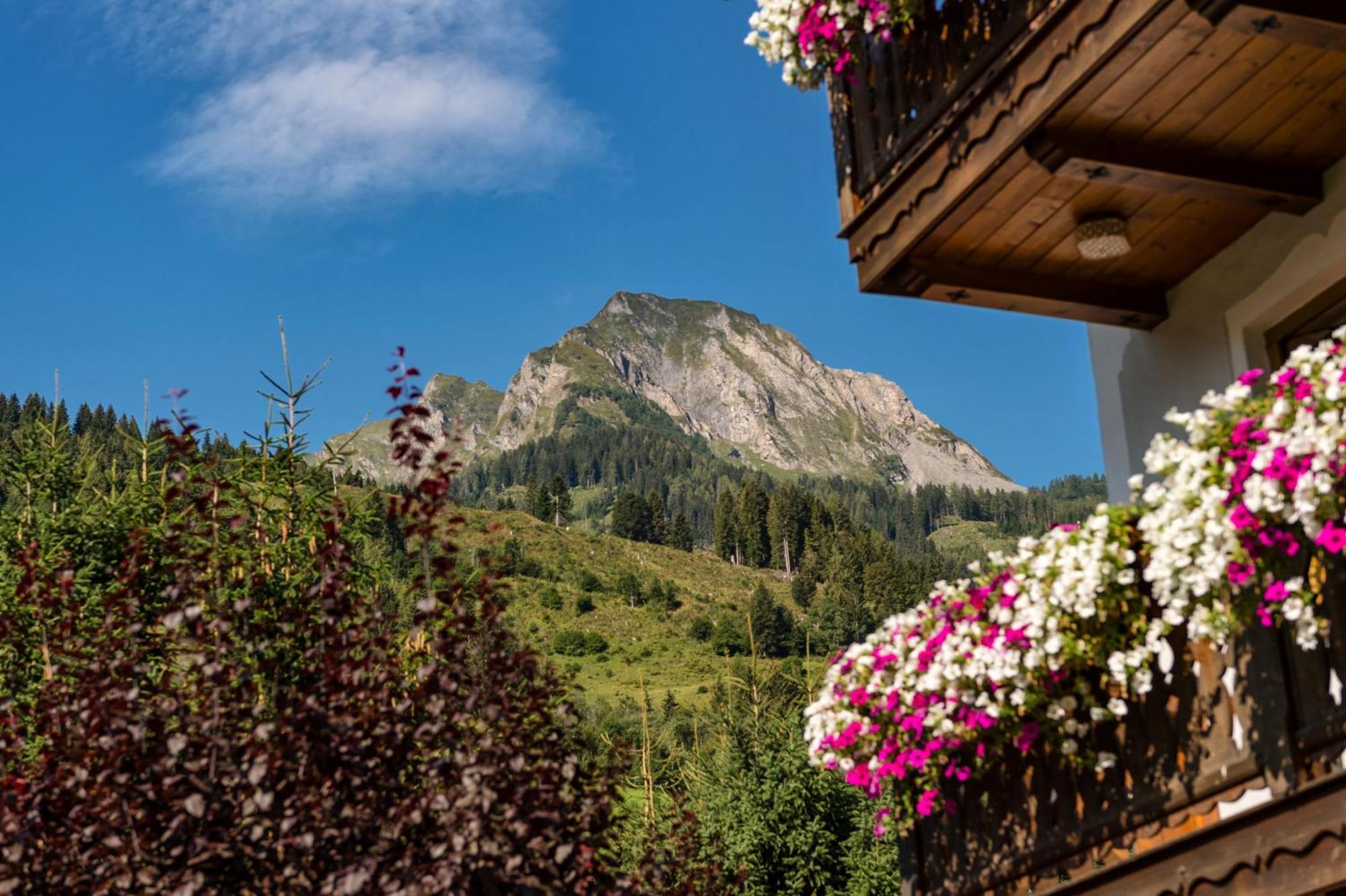 Bauernhofhotel "Die Unterbergerin" - Zimmer Mit Fruehstueck Und Ferienwohnungen In Gastein Mit Gratis Thermeneintritt Dorfgastein Exteriér fotografie