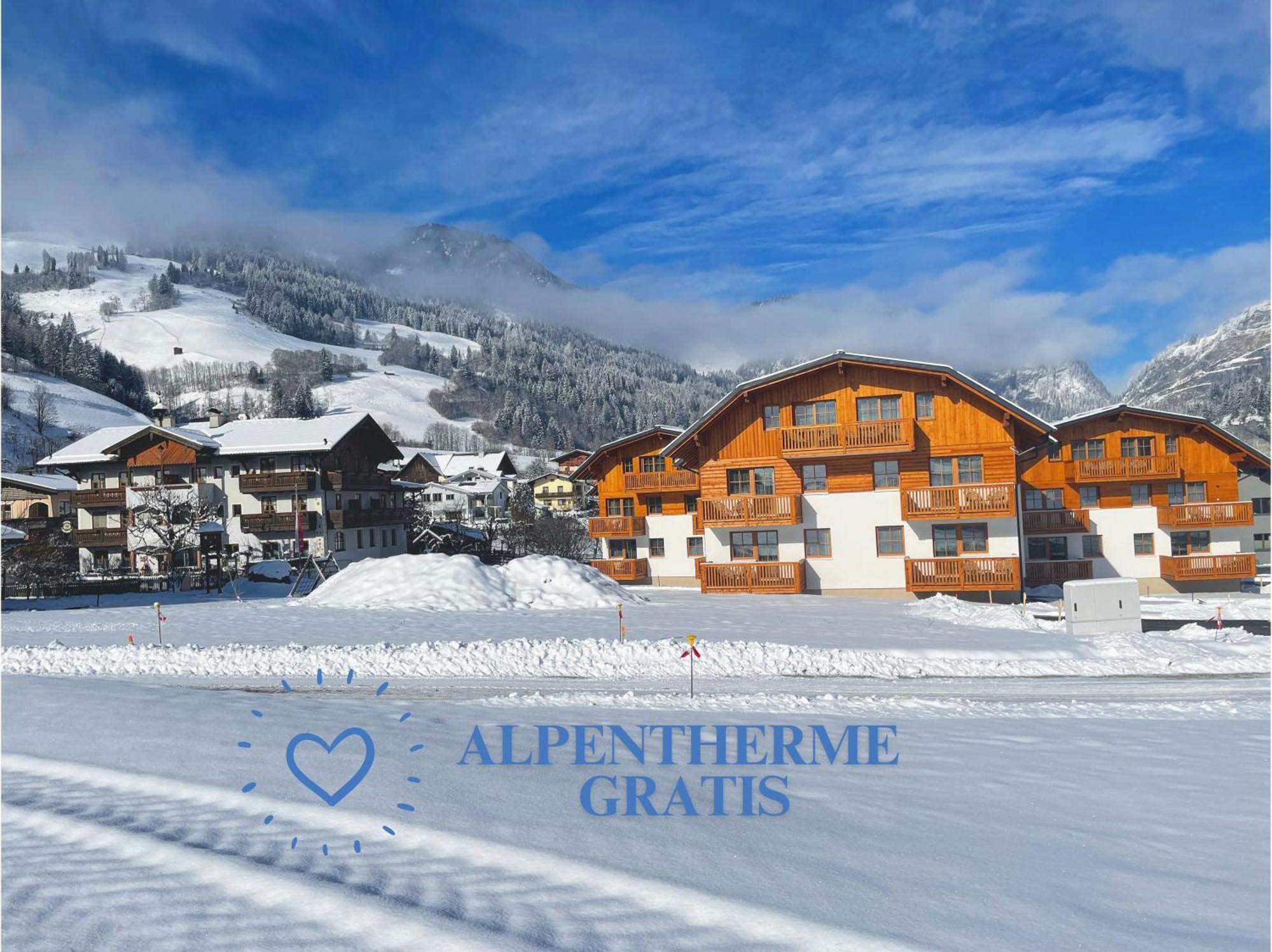 Bauernhofhotel "Die Unterbergerin" - Zimmer Mit Fruehstueck Und Ferienwohnungen In Gastein Mit Gratis Thermeneintritt Dorfgastein Exteriér fotografie