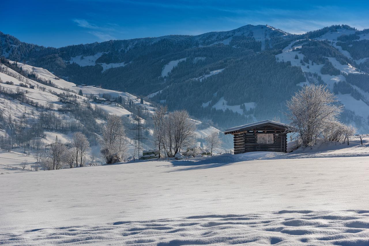 Bauernhofhotel "Die Unterbergerin" - Zimmer Mit Fruehstueck Und Ferienwohnungen In Gastein Mit Gratis Thermeneintritt Dorfgastein Exteriér fotografie