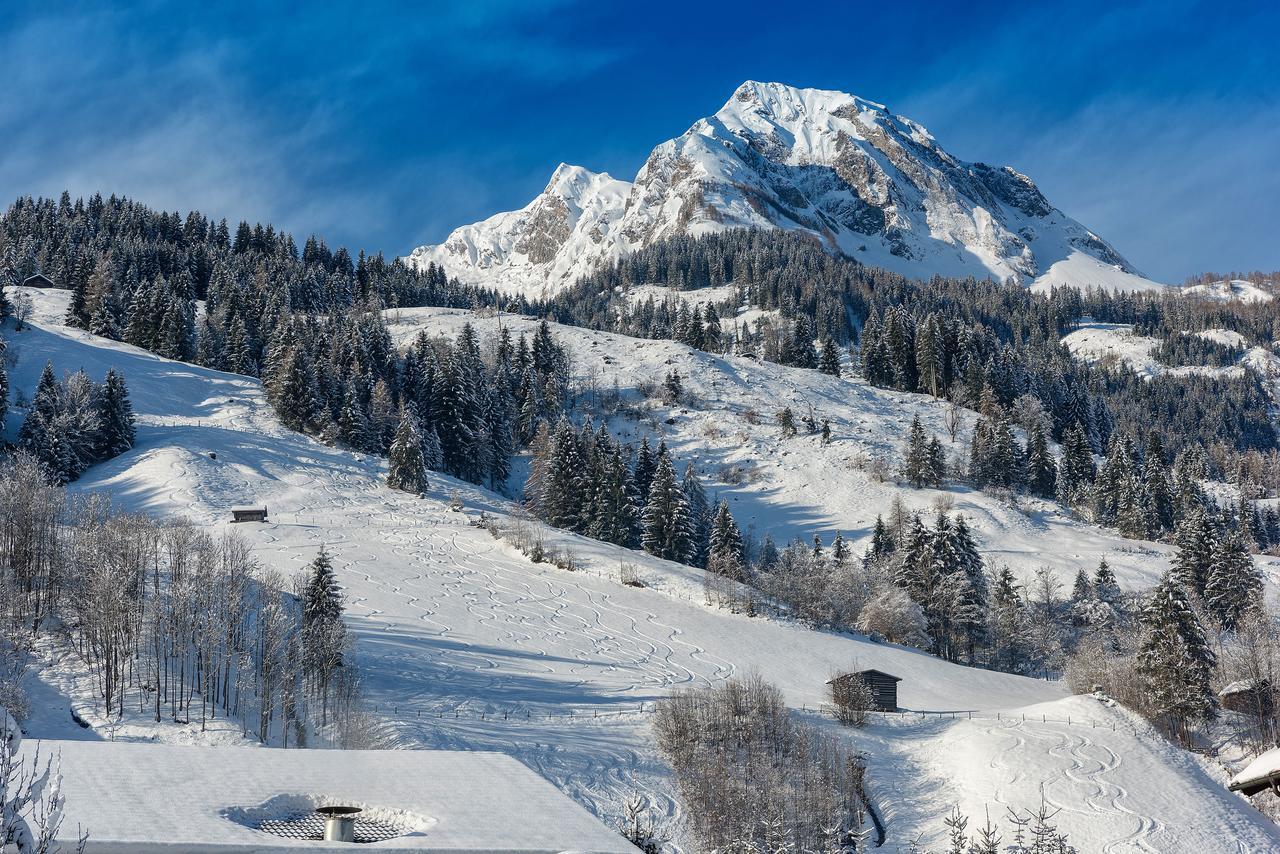 Bauernhofhotel "Die Unterbergerin" - Zimmer Mit Fruehstueck Und Ferienwohnungen In Gastein Mit Gratis Thermeneintritt Dorfgastein Exteriér fotografie