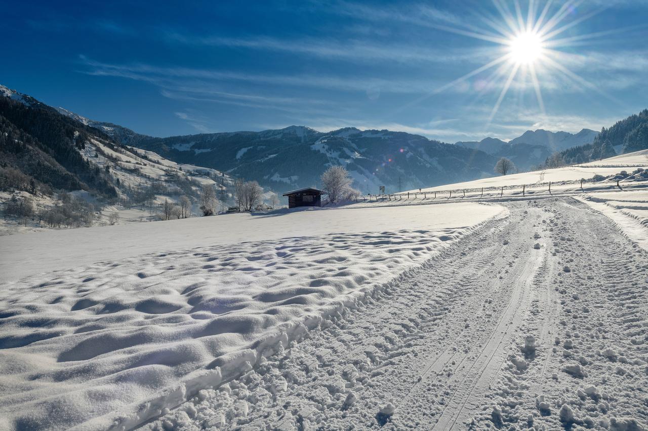 Bauernhofhotel "Die Unterbergerin" - Zimmer Mit Fruehstueck Und Ferienwohnungen In Gastein Mit Gratis Thermeneintritt Dorfgastein Exteriér fotografie